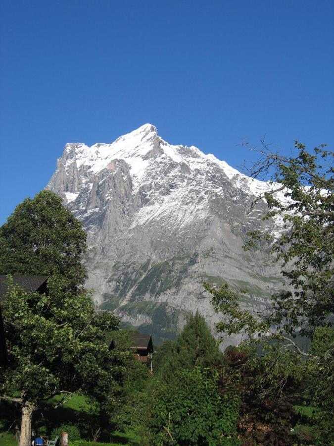 Naturfreunde Hostel Grindelwald Room photo
